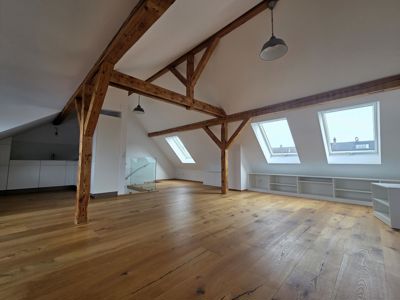 Grosszügige und moderne Dachwohnung im Gundeli