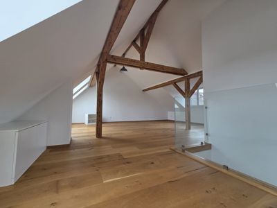 Grosszügige und moderne Dachwohnung im Gundeli