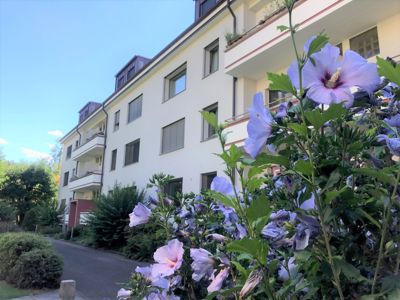 moderne Wohnung in grüner Umgebung