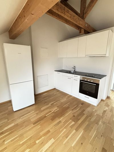 Geräumige moderne 1.5-Zimmer-Loftwohnung